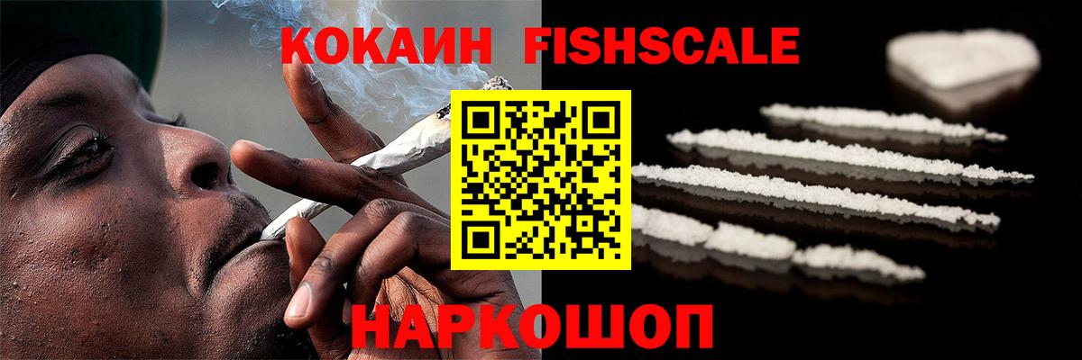 COCAIN Fish Scale Сокол