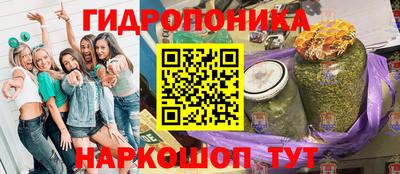 крисы Пыть-Ях