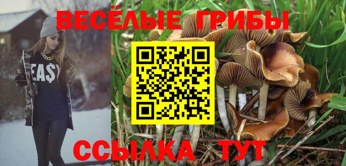Псилоцибиновые грибы Psilocybine cubensis  Вход с VPN  Сокол  Псилоцибиновые грибы MAGIC MUSHROOMS 